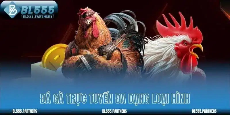 Đá gà trực tuyến đa dạng loại hình