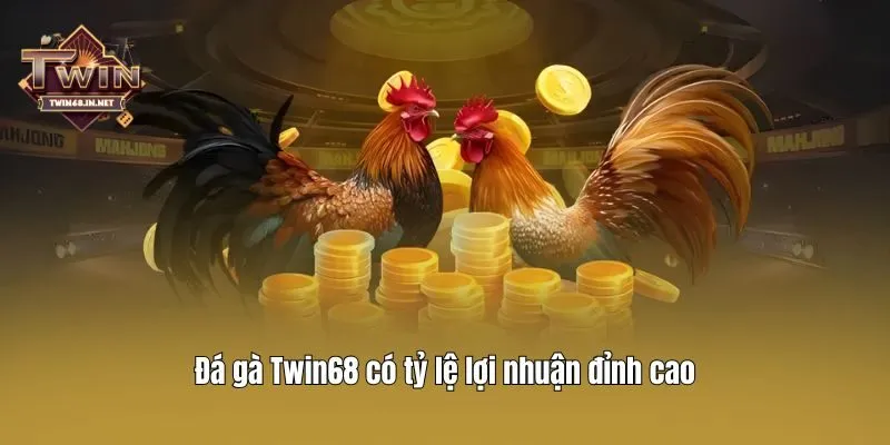 Đá gà Twin68 có tỷ lệ lợi nhuận đỉnh cao