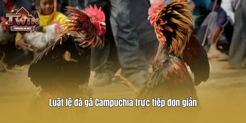 Luật lệ đá gà Campuchia trực tiếp đơn giản